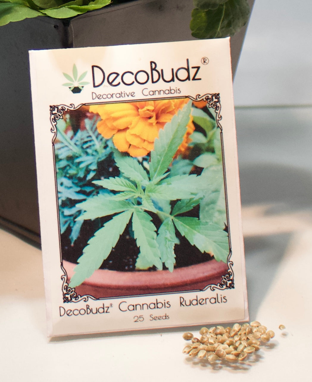 "Stylish decorative hemp seed pack, ideal for 420-themed decor, craft projects, and canna-inspired events. Adds a unique, natural touch to any space."