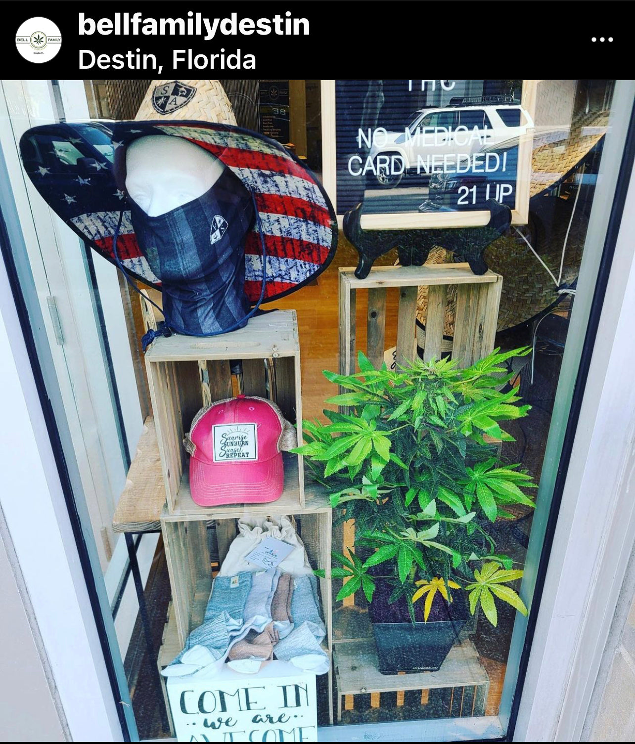 DecoBuds fake weed plant in a store front in Destin Florida . looks like a surf shop and CBD 