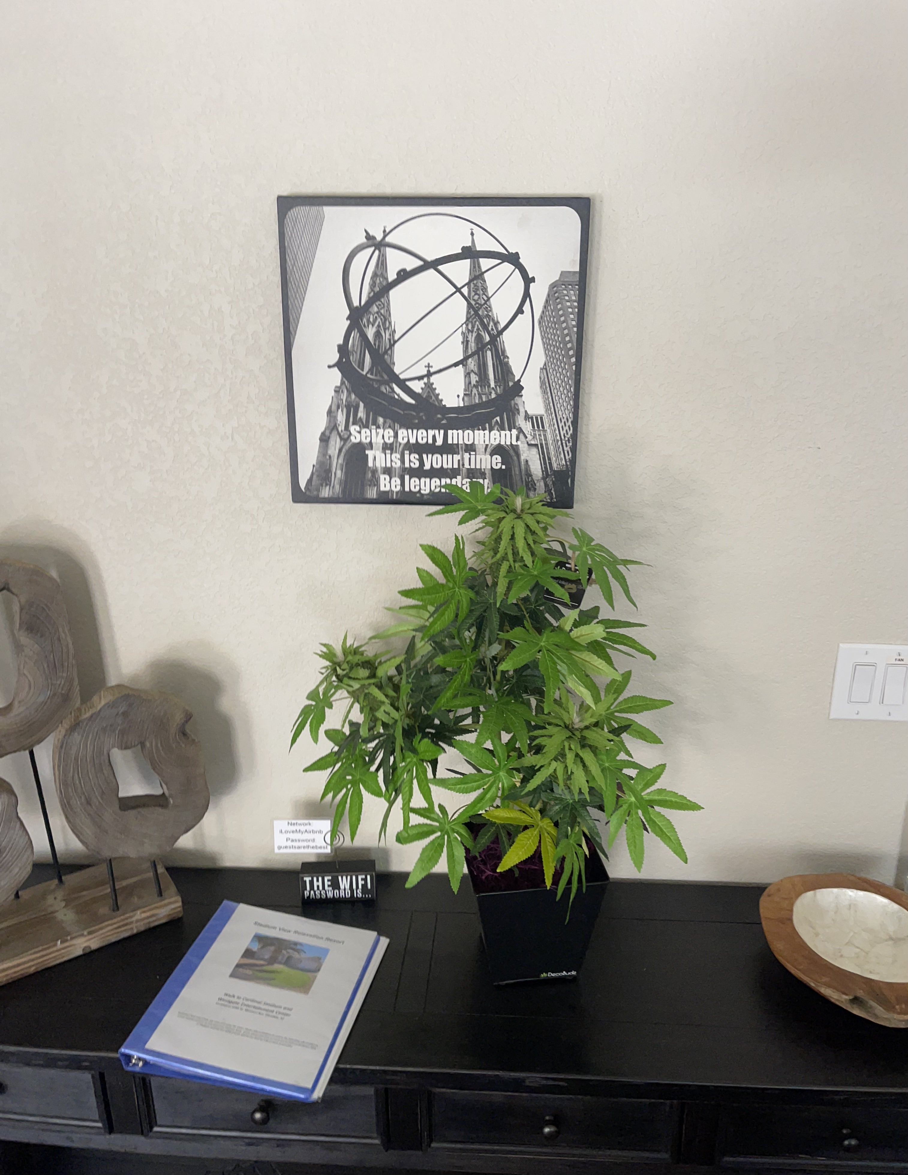 a gorgeous DecoBudz on  a reception table for a Canna friendly 420 Air BNB 