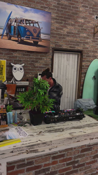 Decobudz making a great addition to DJ dax at the fair trade show in Huntignton Bch Ca cannabis infused diner party  